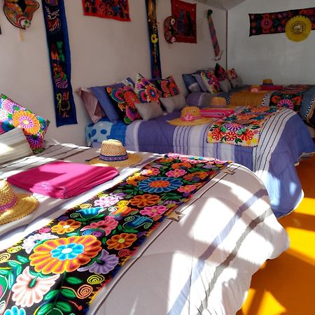 Uros Titikaka The Best Lodge Puno Luaran gambar